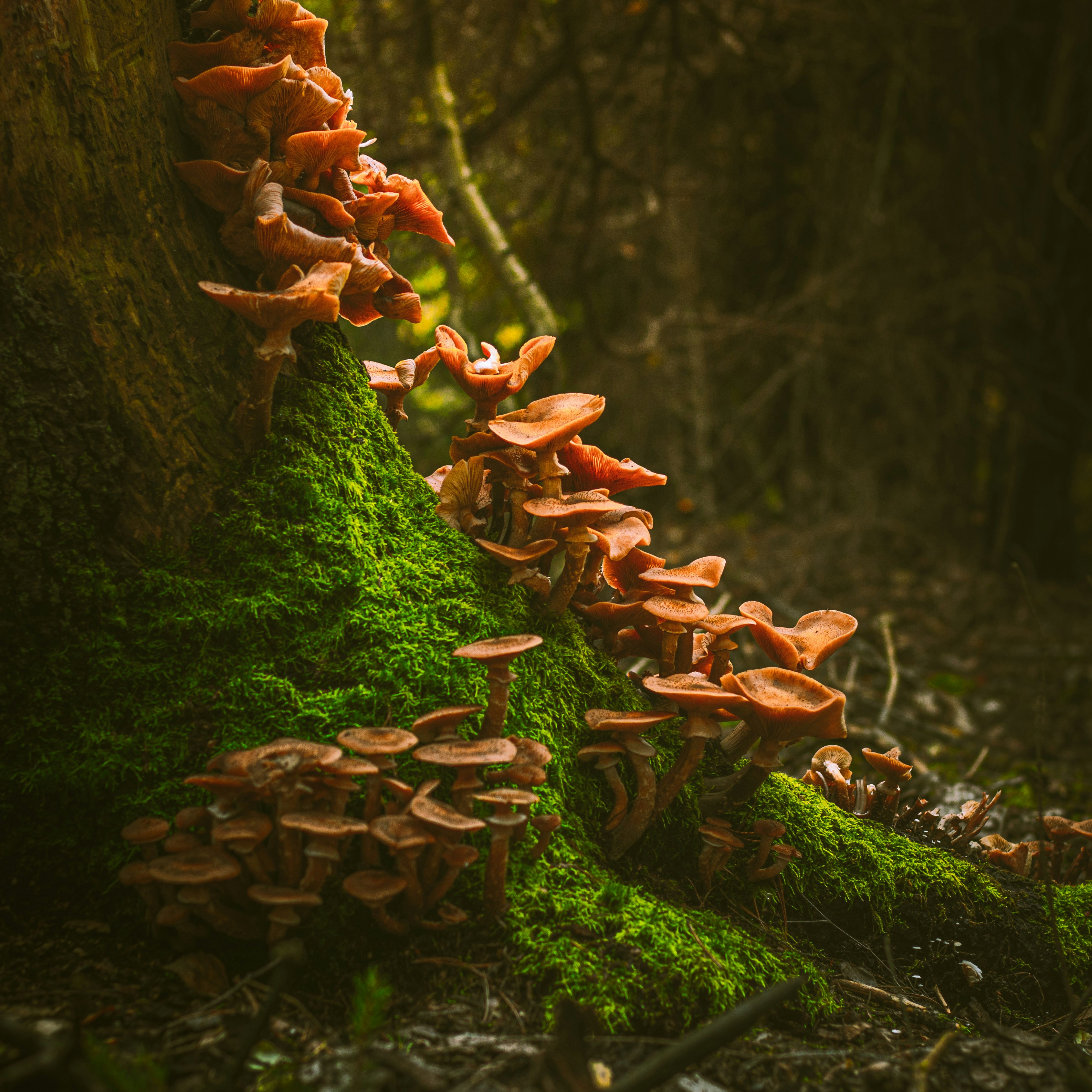 tomasz-filipek-qV2v64lrU4Q-unsplash